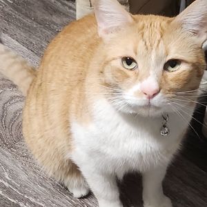 Meet your Posher, Lupita